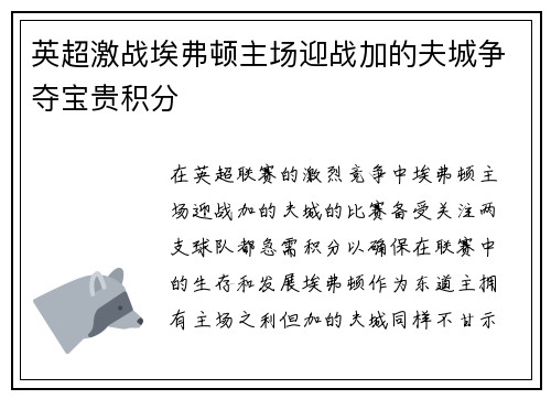 英超激战埃弗顿主场迎战加的夫城争夺宝贵积分