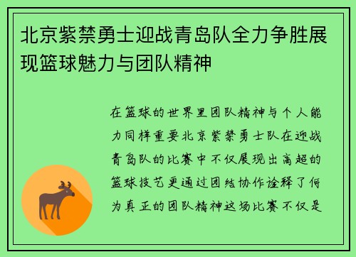 北京紫禁勇士迎战青岛队全力争胜展现篮球魅力与团队精神