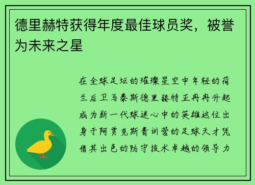 德里赫特获得年度最佳球员奖，被誉为未来之星